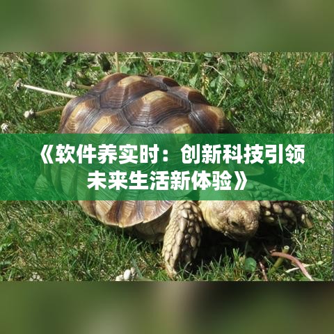 《软件养实时：创新科技引领未来生活新体验》