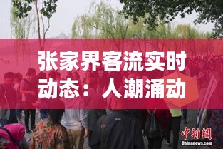 张家界客流实时动态：人潮涌动，旅游胜地魅力不减