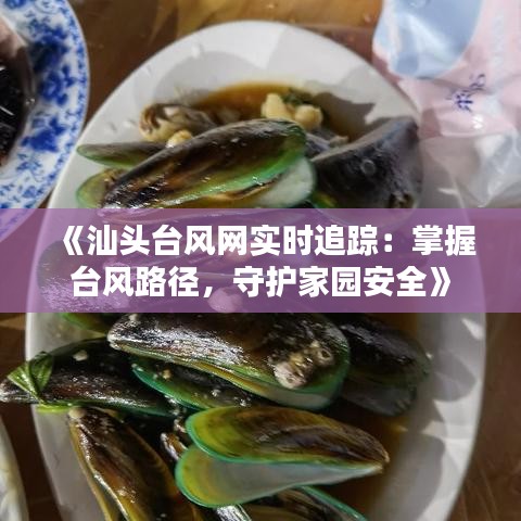 《汕头台风网实时追踪：掌握台风路径，守护家园安全》