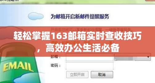 轻松掌握163邮箱实时查收技巧，高效办公生活必备