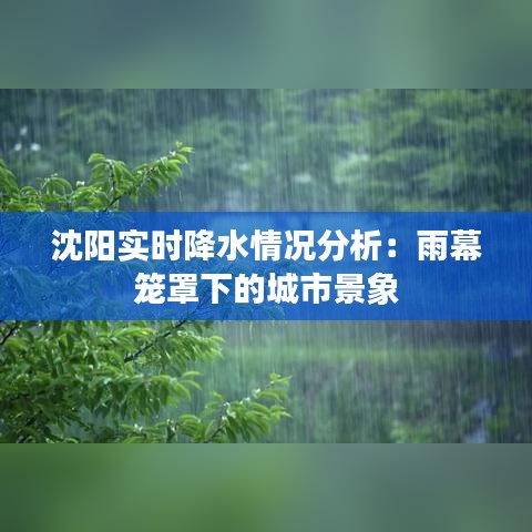 沈阳实时降水情况分析：雨幕笼罩下的城市景象