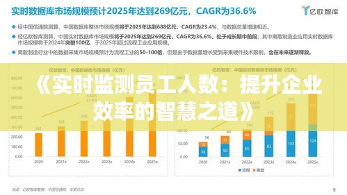 《实时监测员工人数：提升企业效率的智慧之道》