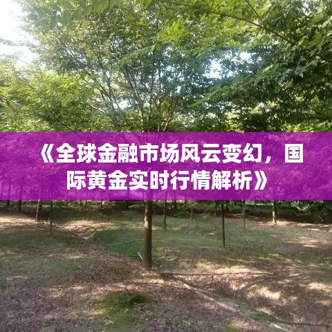 《全球金融市场风云变幻，国际黄金实时行情解析》