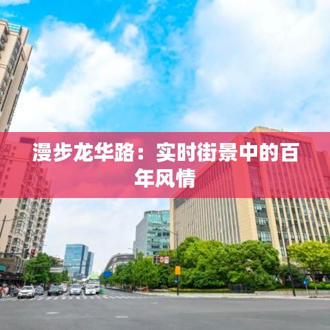 漫步龙华路：实时街景中的百年风情