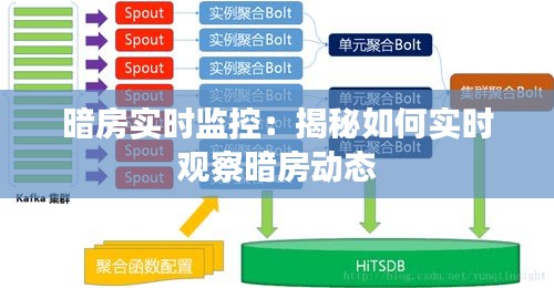 暗房实时监控：揭秘如何实时观察暗房动态