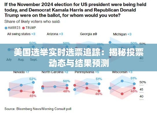 美国选举实时选票追踪：揭秘投票动态与结果预测