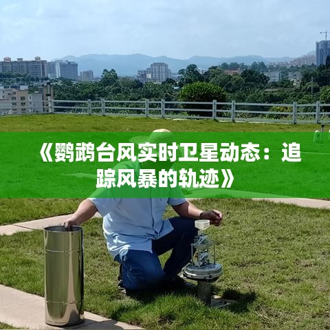 《鹦鹉台风实时卫星动态：追踪风暴的轨迹》