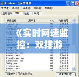 《实时网速监控：双排游戏体验无忧》