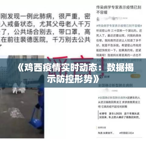 《鸡西疫情实时动态：数据揭示防控形势》