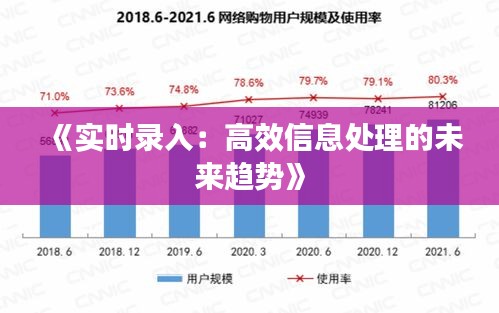 《实时录入：高效信息处理的未来趋势》