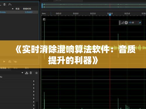 《实时消除混响算法软件：音质提升的利器》