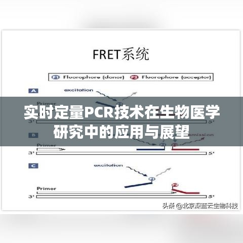 实时定量PCR技术在生物医学研究中的应用与展望