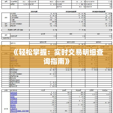 《轻松掌握：实时交易明细查询指南》