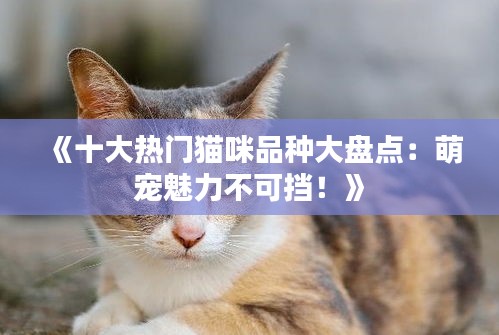 《十大热门猫咪品种大盘点：萌宠魅力不可挡！》