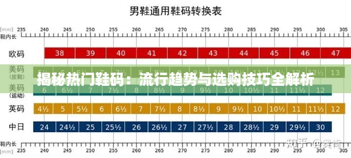 揭秘热门鞋码：流行趋势与选购技巧全解析