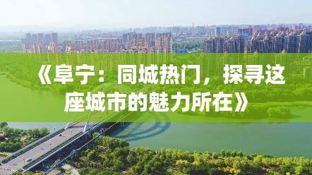 《阜宁：同城热门，探寻这座城市的魅力所在》