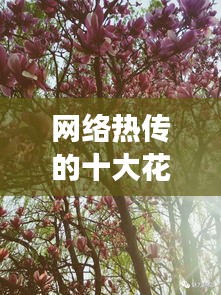 网络热传的十大花朵：美丽与文化的交织