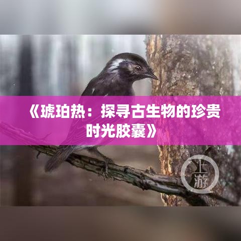 《琥珀热：探寻古生物的珍贵时光胶囊》