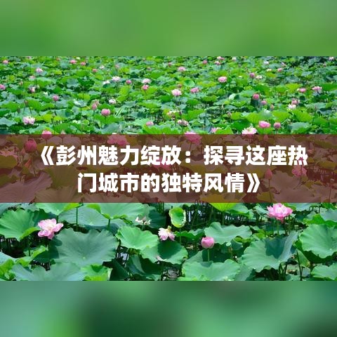 《彭州魅力绽放：探寻这座热门城市的独特风情》