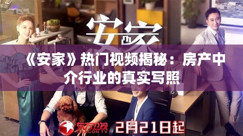 《安家》热门视频揭秘：房产中介行业的真实写照