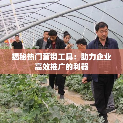 揭秘热门营销工具：助力企业高效推广的利器