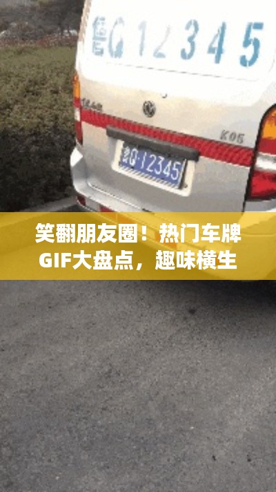 笑翻朋友圈！热门车牌GIF大盘点，趣味横生！