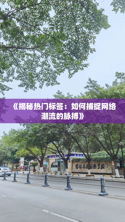 《揭秘热门标签：如何捕捉网络潮流的脉搏》