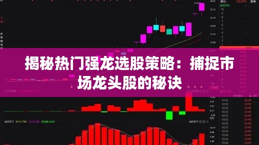 揭秘热门强龙选股策略：捕捉市场龙头股的秘诀