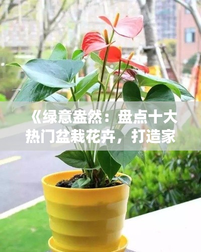 《绿意盎然：盘点十大热门盆栽花卉，打造家居绿色角落》