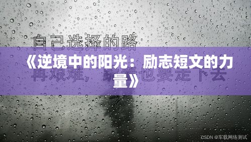 《逆境中的阳光：励志短文的力量》