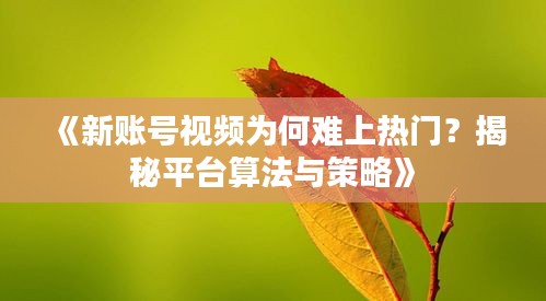 《新账号视频为何难上热门？揭秘平台算法与策略》