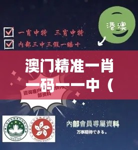 澳门精准一肖一码一一中（科举文献整理与研究）