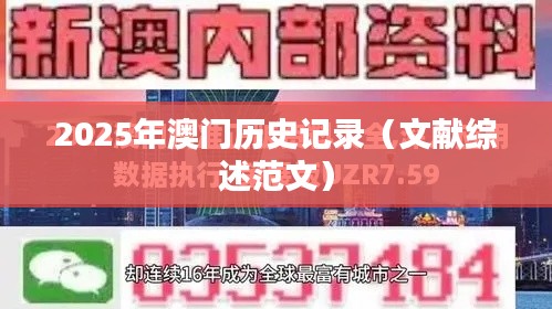 2025年澳门历史记录（文献综述范文）