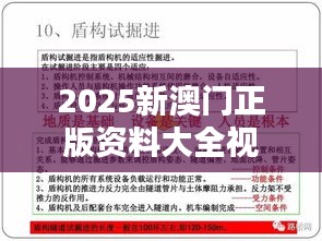 2025新澳门正版资料大全视频（参考文献）