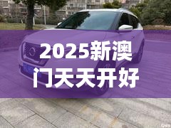 2025新澳门天天开好彩大全37b（参考文献）