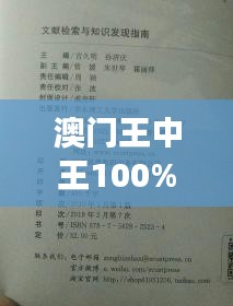 澳门王中王100%正确答案最新章节（工具书与文献检索）