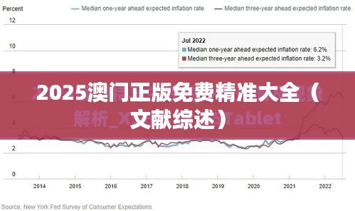 2025澳门正版免费精准大全（文献综述）