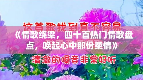 《情歌绕梁，四十首热门情歌盘点，唤起心中那份柔情》