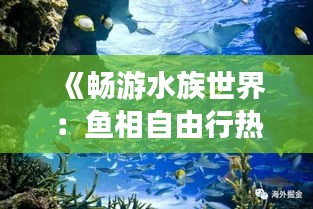 《畅游水族世界：鱼相自由行热门攻略详解》