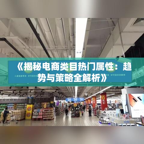 《揭秘电商类目热门属性：趋势与策略全解析》