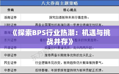 《探索BPS行业热潮：机遇与挑战并存》