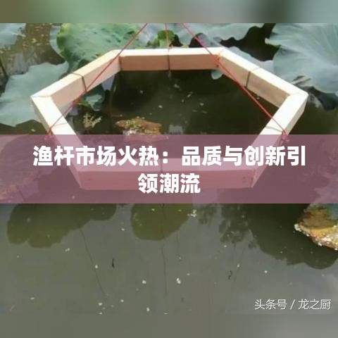 渔杆市场火热：品质与创新引领潮流