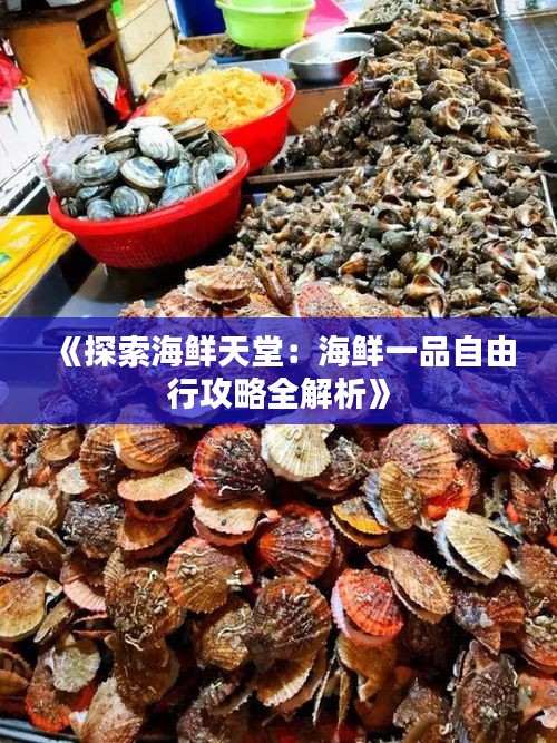 《探索海鲜天堂：海鲜一品自由行攻略全解析》