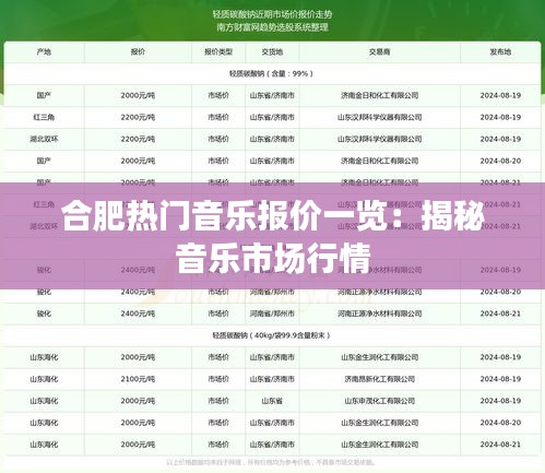 合肥热门音乐报价一览：揭秘音乐市场行情