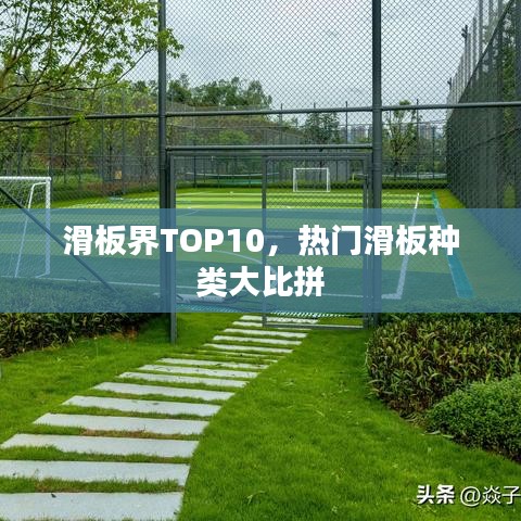 滑板界TOP10，热门滑板种类大比拼