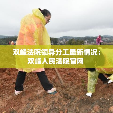 双峰法院领导分工最新情况：双峰人民法院官网 