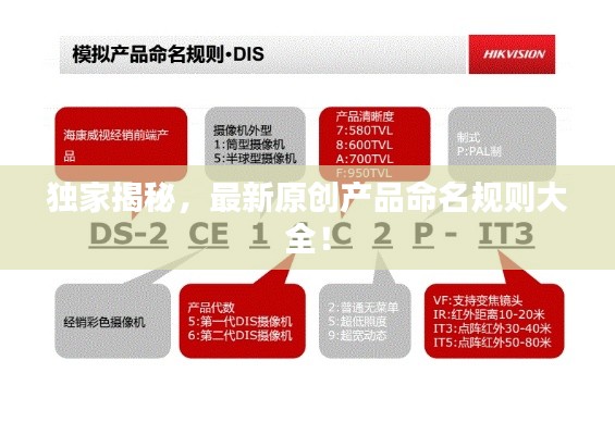 独家揭秘，最新原创产品命名规则大全！