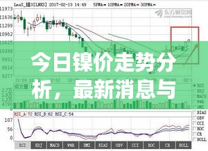 今日镍价走势分析，最新消息与市场影响因素探讨