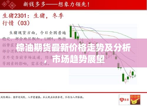 棕油期货最新价格走势及分析，市场趋势展望