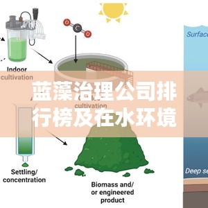 蓝藻治理公司排行榜及在水环境治理领域的领导力与影响力解析